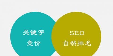 探讨SEO是否值得做（SEO的优缺点分析及对企业的影响）